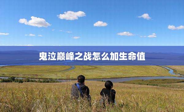 鬼泣巅峰之战怎么加生命值