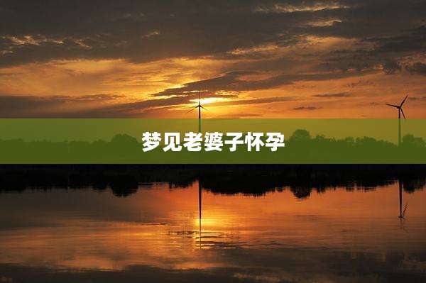 梦见老婆子怀孕