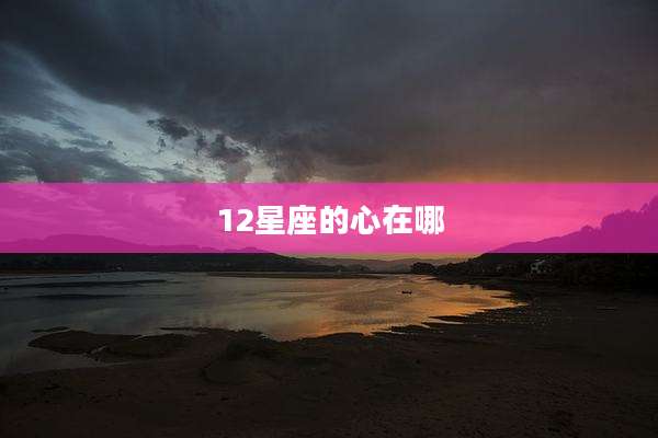 12星座的心在哪