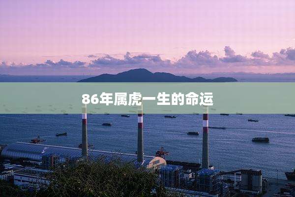 86年属虎一生的命运