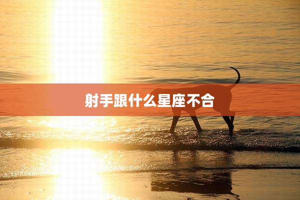 射手跟什么星座不合