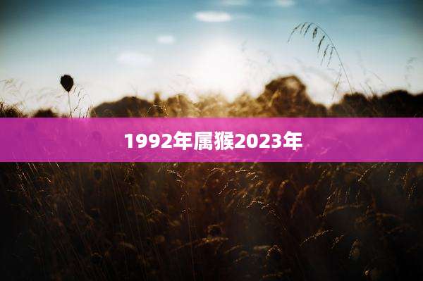 1992年属猴2023年