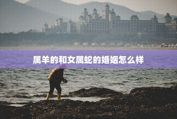 属羊的和女属蛇的婚姻怎么样