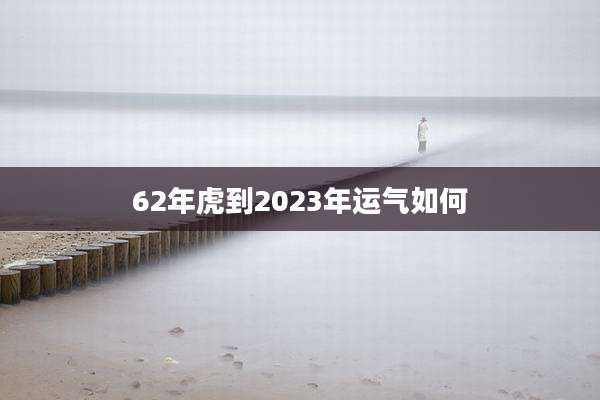 62年虎到2023年运气如何