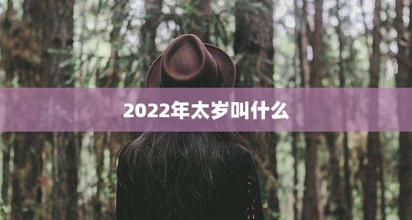 2022年太岁叫什么