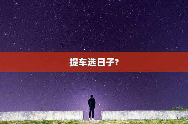 提车选日子?
