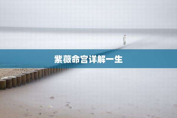 紫薇命宫详解一生