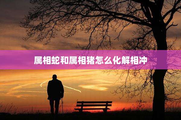 属相蛇和属相猪怎么化解相冲