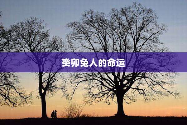 癸卯兔人的命运