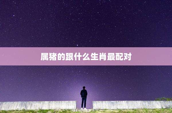 属猪的跟什么生肖最配对