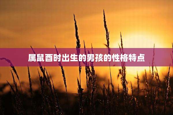 属鼠酉时出生的男孩的性格特点