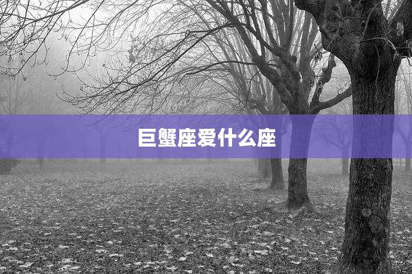巨蟹座爱什么座