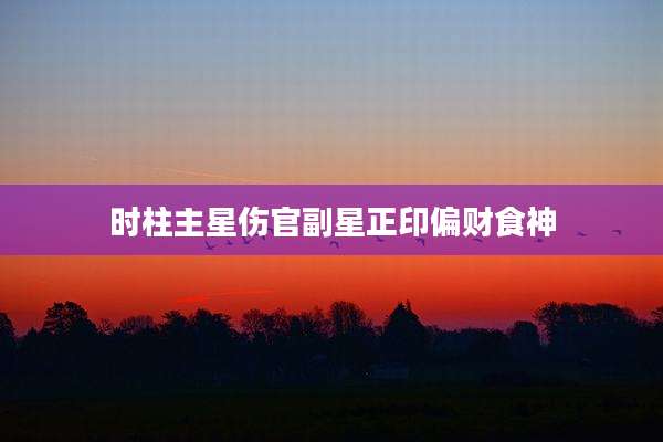 时柱主星伤官副星正印偏财食神