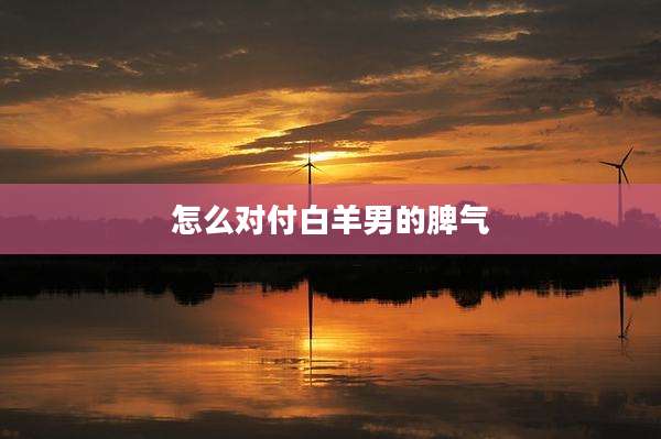 怎么对付白羊男的脾气