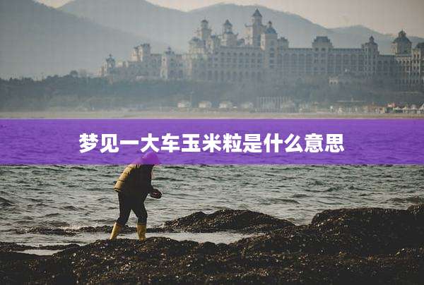 梦见一大车玉米粒是什么意思