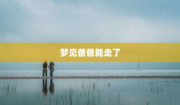梦见爸爸能走了
