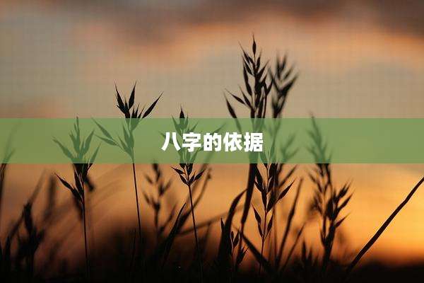 八字的依据