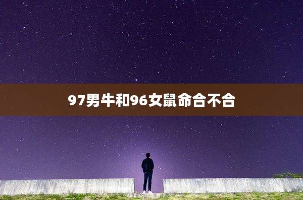97男牛和96女鼠命合不合