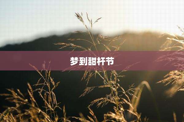 梦到甜杆节