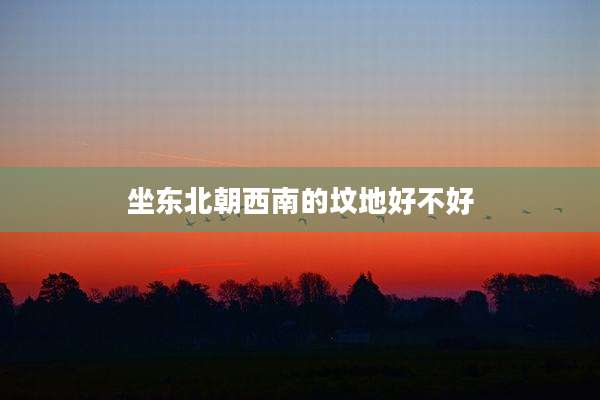 坐东北朝西南的坟地好不好