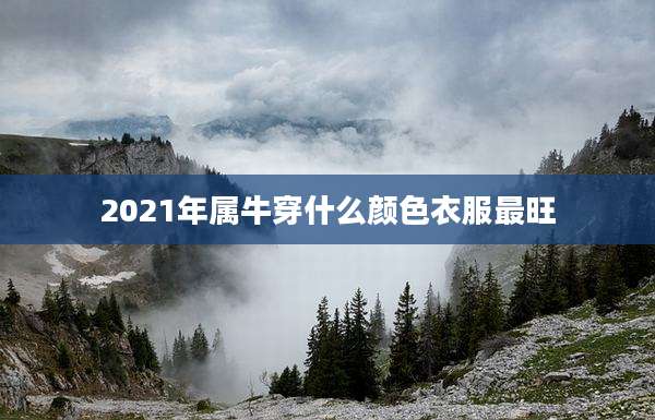 2021年属牛穿什么颜色衣服最旺