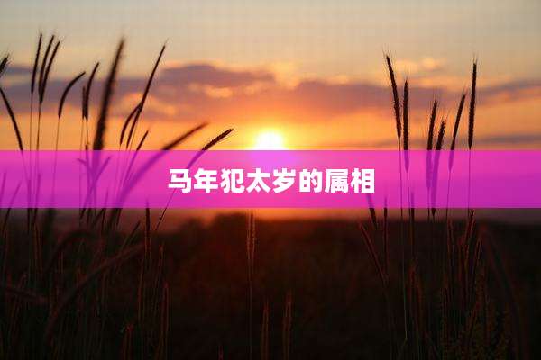 马年犯太岁的属相