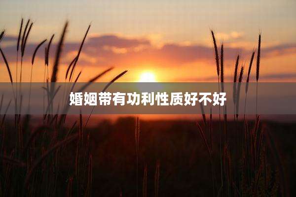 婚姻带有功利性质好不好