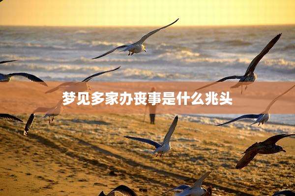 梦见多家办丧事是什么兆头