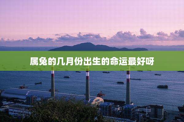 属兔的几月份出生的命运最好呀