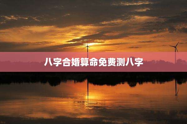 八字合婚算命免费测八字
