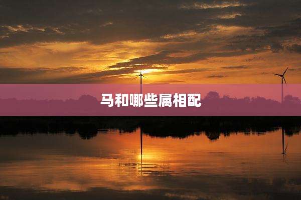 马和哪些属相配
