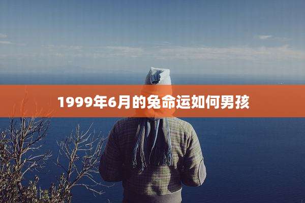 1999年6月的兔命运如何男孩