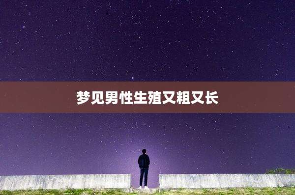 梦见男性生殖又粗又长