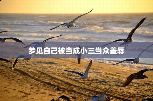 梦见自己被当成小三当众羞辱
