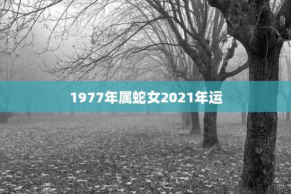 1977年属蛇女2021年运