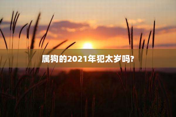 属狗的2021年犯太岁吗?