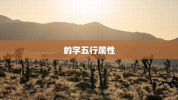 的字五行属性