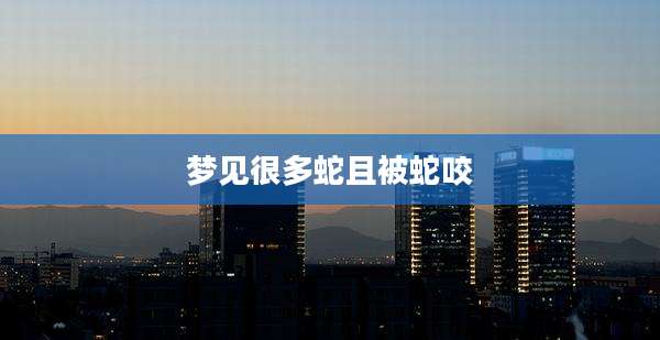 梦见很多蛇且被蛇咬