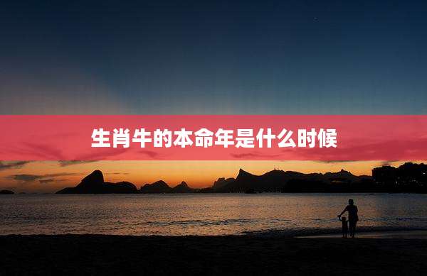 生肖牛的本命年是什么时候