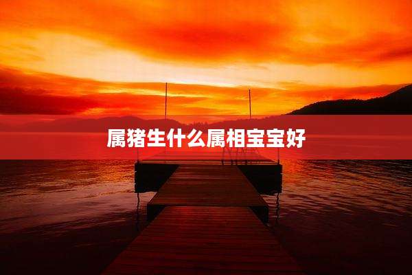 属猪生什么属相宝宝好