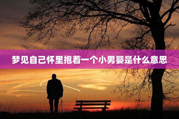 梦见自己怀里抱着一个小男婴是什么意思