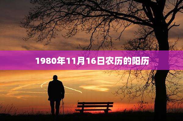 1980年11月16日农历的阳历