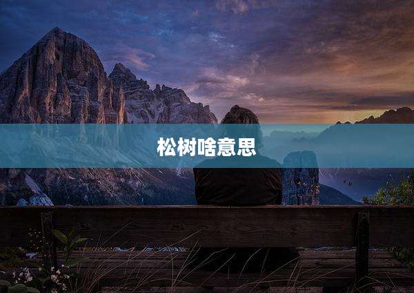 松树啥意思