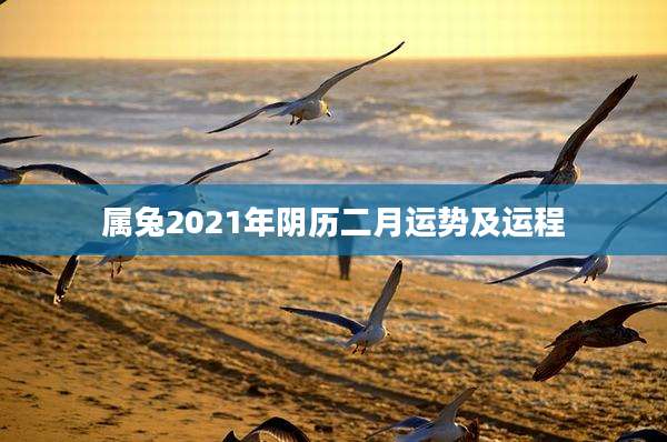 属兔2021年阴历二月运势及运程