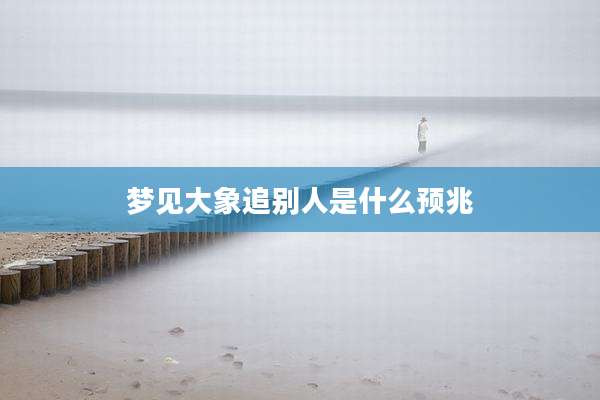 梦见大象追别人是什么预兆