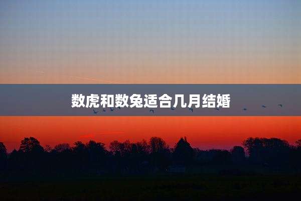 数虎和数兔适合几月结婚