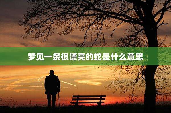 梦见一条很漂亮的蛇是什么意思