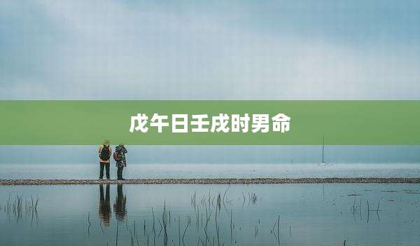 戊午日壬戌时男命