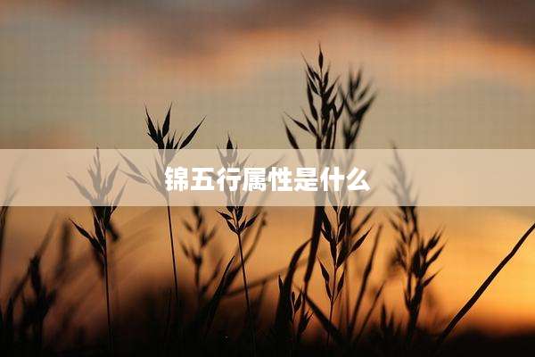 锦五行属性是什么