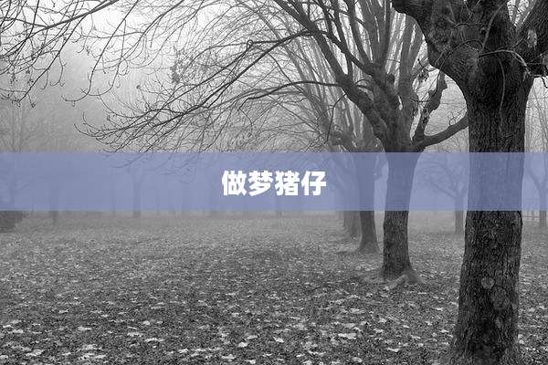 做梦猪仔